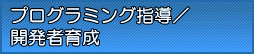 プログラミング指導・開発者育成